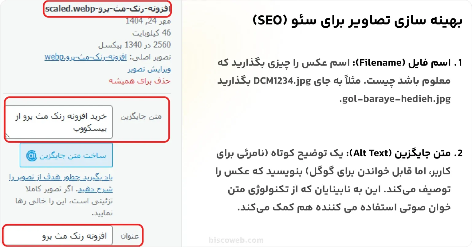 بهینه-سازی-تصاویر-برای-سئو-SEO-1536x804